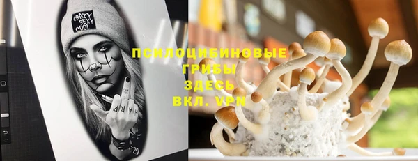 тгк Абаза