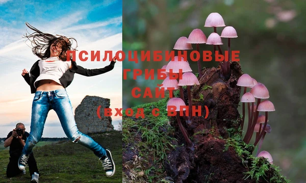 не бодяженный Михайловск