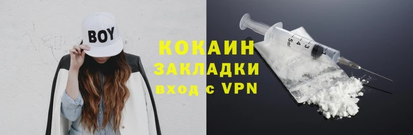 тгк Абаза