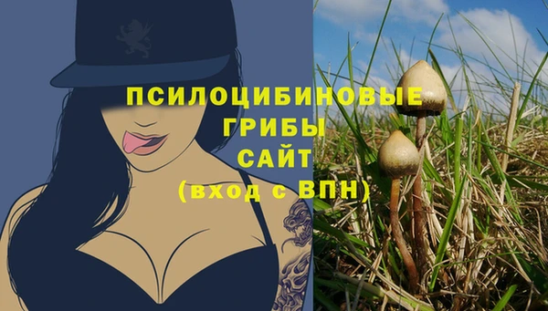 хмурый Абинск